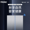 海尔（Haier）冰箱BCD-549WSCEU1 商品缩略图1