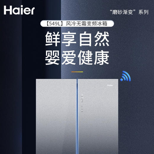海尔（Haier）冰箱BCD-549WSCEU1 商品图1