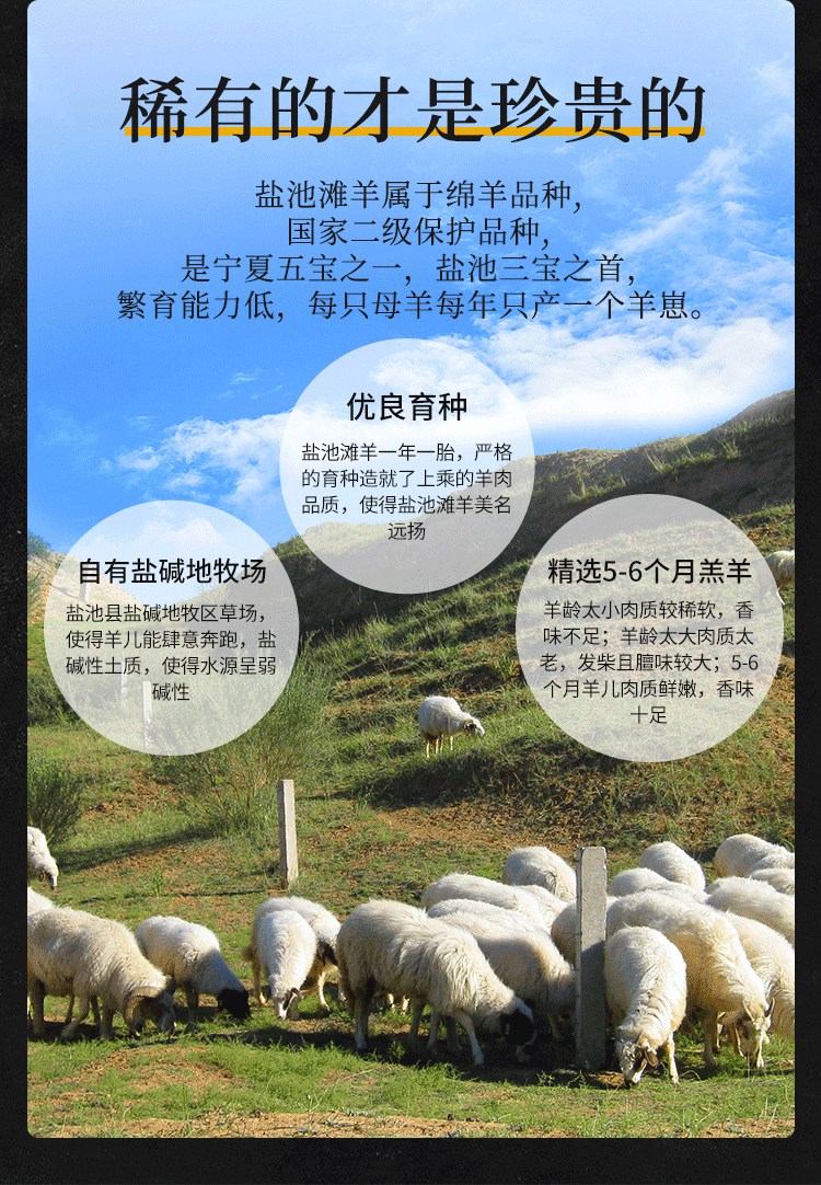 宁夏盐池滩羊肉红柳枝羊肉串8串400克肉香