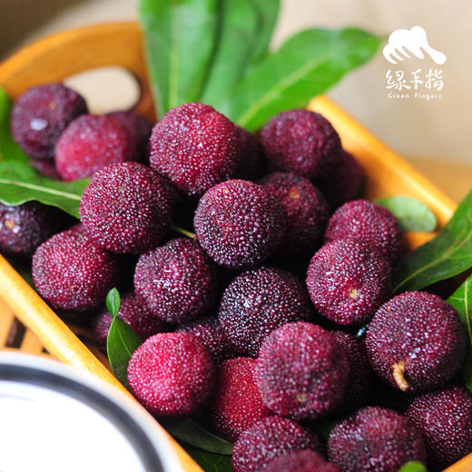 生态荸荠杨梅 | 合作生产*Eco-waxberry | Coproduction 商品图2