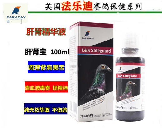 【肝肾精华液】100毫升/ 清理鸽体毒素 调理紫胸黑舌（法乐迪鸽药） 商品图0