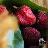 生态东魁杨梅 | 合作生产*Eco-waxberry | Coproduction 商品缩略图2