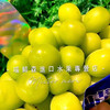 单串🛵香印青提/阳光玫瑰（特级一级） 商品缩略图2