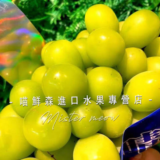 单串🛵香印青提/阳光玫瑰（特级一级） 商品图2