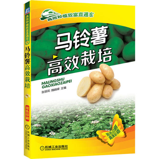 马铃薯高效栽培 商品图0