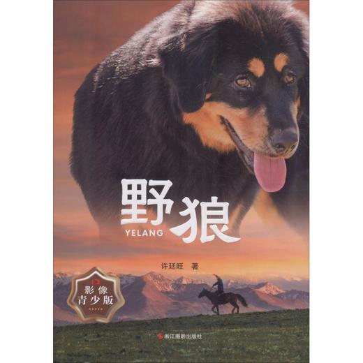 野狼 影像青少版 商品图0