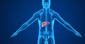  肝不好，人易老！最便宜有效的养肝法，很多人竟然不知道~ 