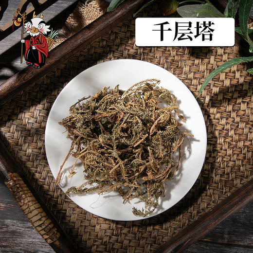 中药材批发  千层塔  1000克/500克 商品图0