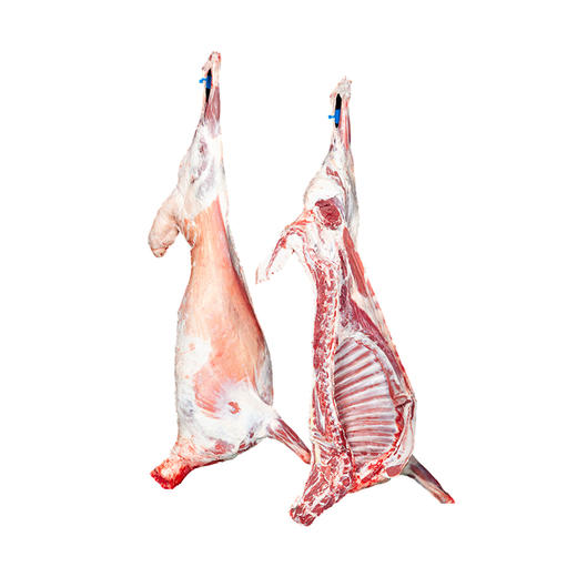 宁夏盐池滩羊肉半只羊整只羊切块好吃膻味轻厂家自营