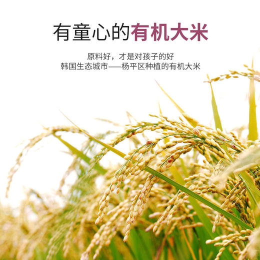 韩国进口跢跢妈DDODDOMAM芝士奶酪条25g 婴幼儿宝宝辅食零食12月+ 商品图3