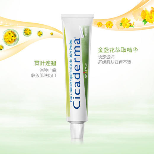 *法国进口宝弘Boiron叮咬膏宝宝儿童多效霜婴儿膏【YJQ】 商品图3