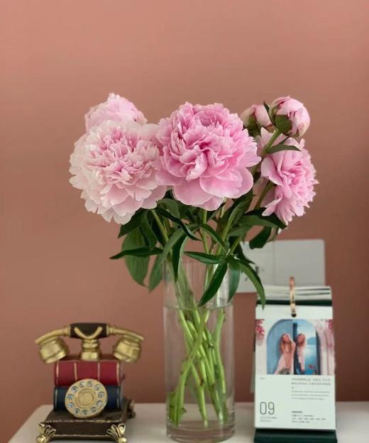 【沙拉重瓣芍药】5支/份  第二份减10元 商品图3