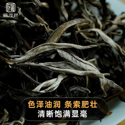 【茶祖】2021年春茶普洱茶生茶云南临沧700古树茶饼200g 商品图1