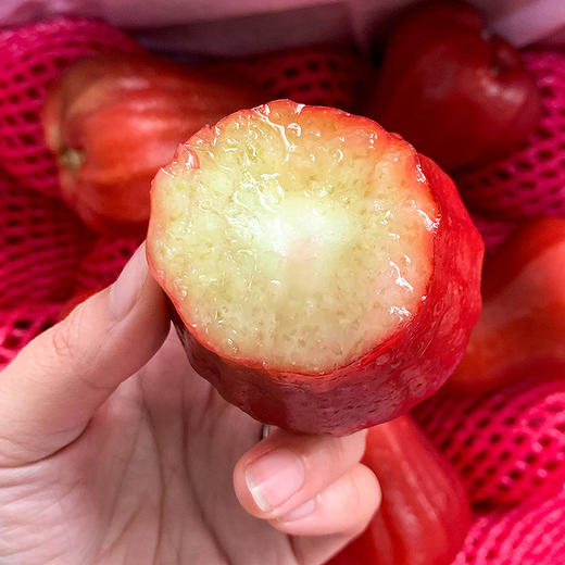 海南黑金刚莲雾 3斤 商品图1