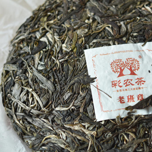 彩农茶｜老班章第一高杆古茶王片区，2021春古树纯料青饼 商品图3