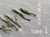 毫端蕴秀临霜写，口齿噙香对月吟。2021荒野白牡丹《拂花枝》来了（60克罐装） 商品缩略图5