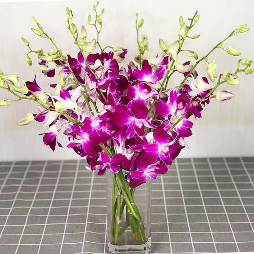 lh洋兰-10枝/扎 紫色 - 阅花鲜花