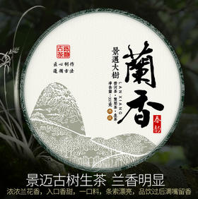 135     兰花香馥郁持久●如置身幽谷山涧。2020年景迈古树，每片357克。仅售118元！