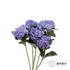 绣球 | 蓝紫重瓣 商品缩略图12