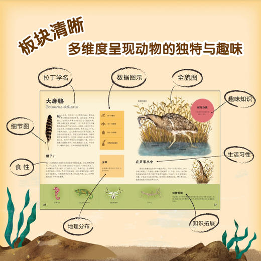 有啥不一样系列（全3册） 商品图3