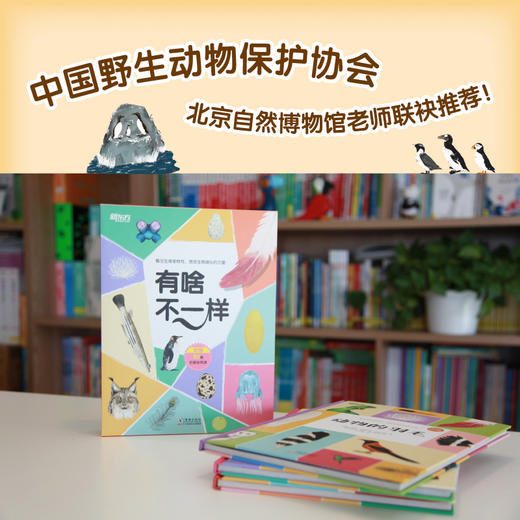 有啥不一样系列（全3册） 商品图2