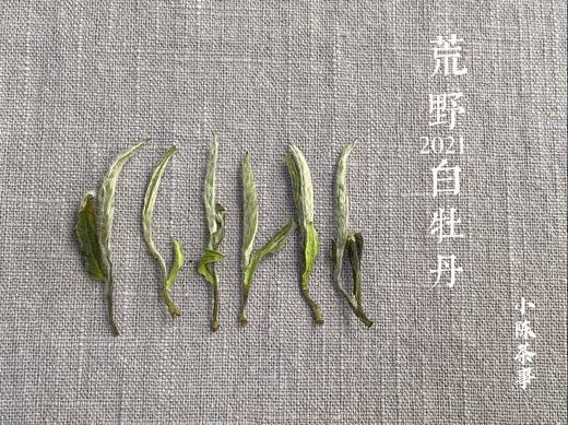 毫端蕴秀临霜写，口齿噙香对月吟。2021荒野白牡丹《拂花枝》来了（60克罐装） 商品图6