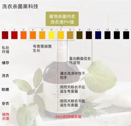 新西兰助产士、yao剂师力荐 新西兰「Lycocelle绽家」内衣洗衣液 安心守护每个特殊时期  植萃去渍留（ “白雪公主”）香 Horopito 达到99.9的灭Jun率 商品图12