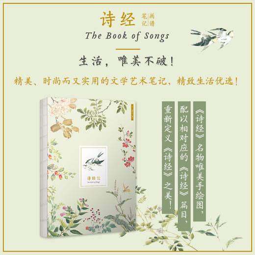 诗经画谱笔记 精心挑选修复细井徇诗经名物图解中手绘图片 穿线裸脊装订诗经古风中国风艺术手账本创意文创笔记本3000848 商品图0