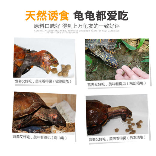 【补钙增产下沉】经典系列40%高蛋白稳产型3岁以上成体水龟 商品图3