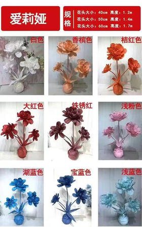 爱莉娅【运费自理】