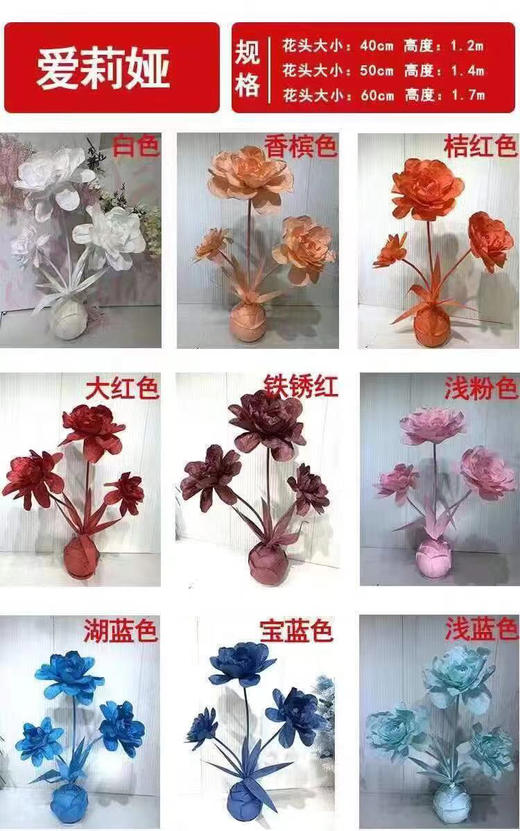 爱莉娅【运费自理】 商品图0