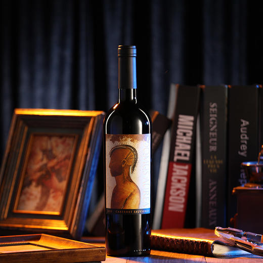 金色圣殿红酒Domus Aurea车库酒智利红酒原瓶原装进口干红葡萄酒 商品图6