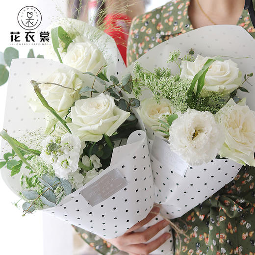 欧雅纸-辛西亚-小圆点 商品图0