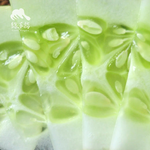 有机白玉黄瓜 | 绿家自产* Organic White Jade Cucumber | Self-production 商品图2