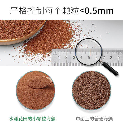 【限时送工具】水漾花田 小颗粒海藻面膜 商品图2