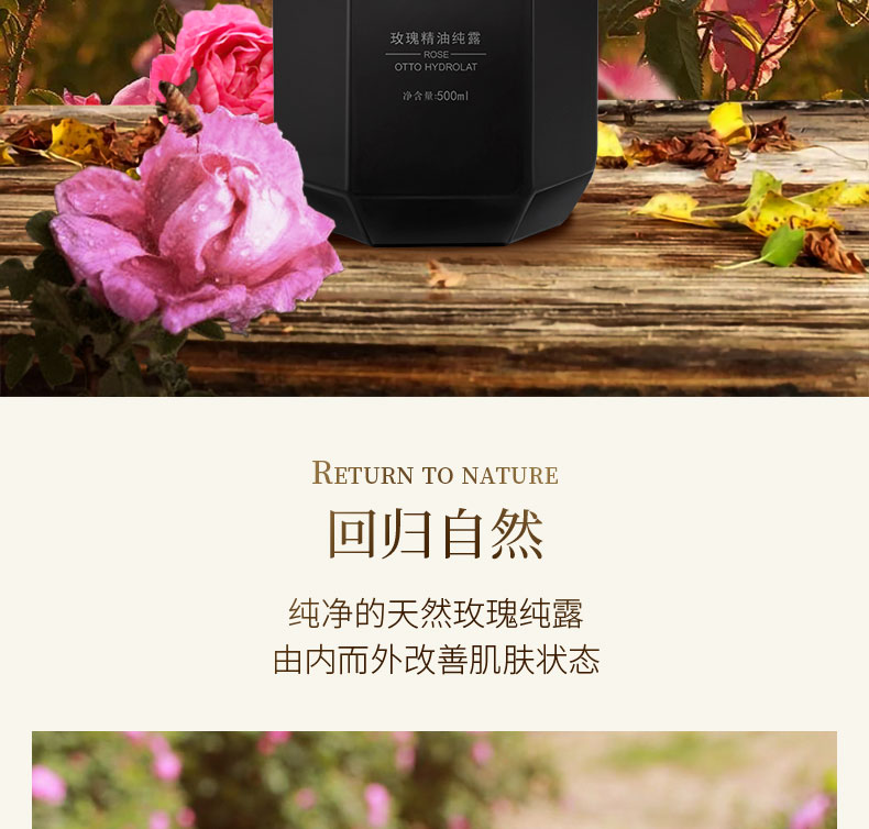 萃取玫瑰精油纯露 补水保湿 提亮嫩肤 焕发自然之美
