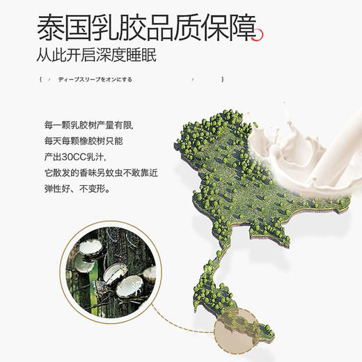 【乳胶凉席三件套】泰国皇家吉拉提天然冰感天丝乳胶凉席三件套可机洗水洗空调软席 商品图1