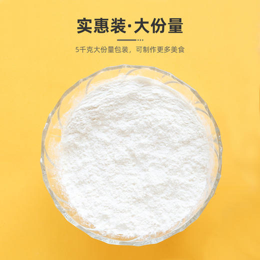 百利脆鳞裹粉5kg餐饮装 商品图1