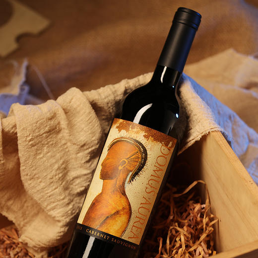 金色圣殿红酒Domus Aurea车库酒智利红酒原瓶原装进口干红葡萄酒 商品图8