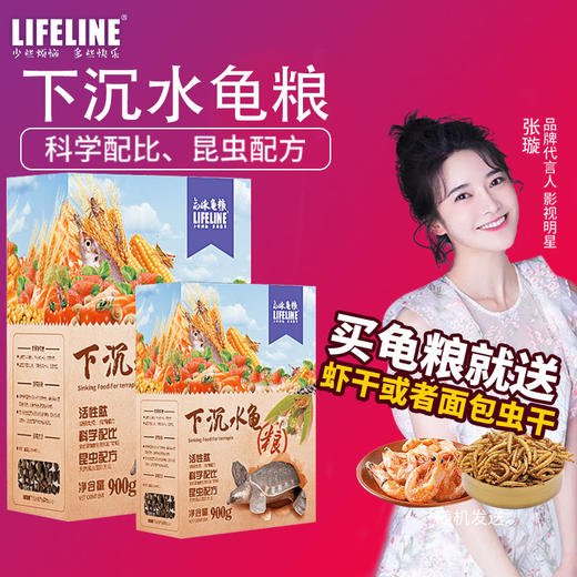 【补钙增产下沉】经典系列40%高蛋白稳产型3岁以上成体水龟 商品图0