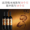 金色圣殿红酒Domus Aurea车库酒智利红酒原瓶原装进口干红葡萄酒 商品缩略图3