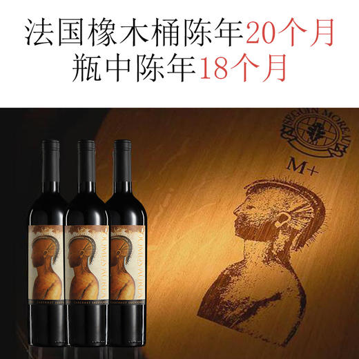 金色圣殿红酒Domus Aurea车库酒智利红酒原瓶原装进口干红葡萄酒 商品图3