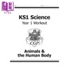 CGP KS1 Science Year 1 Workout 科学锻炼包套装 小学1年级 植物与四季+动物与人体+日常材料 5-6岁 商品缩略图2