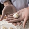 杭笼记 手工鲜肉小笼包 商品缩略图0