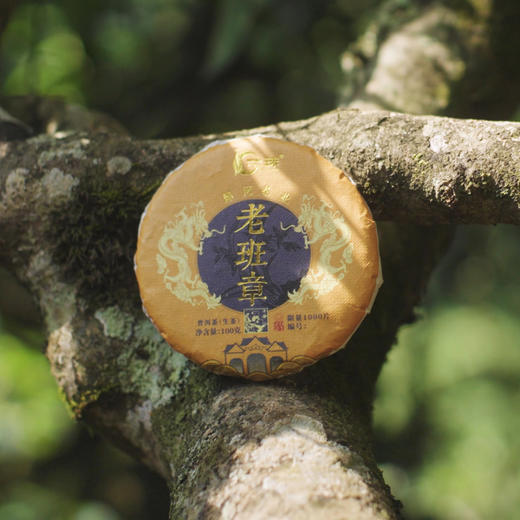 一球2021年老班章生茶500g 商品图2