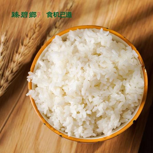 食机已道 玉晶长粒香米2.5kg/5kg丨五常大米 软糯嚼劲 回味无穷 商品图2