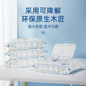 【“肛”需升级 卫生间里的小确幸】卫生湿厕纸 杀jun可降解 冲马桶不堵.  擦屁股洁厕湿巾 成人便携 40抽