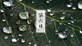 第6日-激励免疫