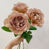 荷兰VIP玫瑰花|Cafe latte咖啡拿铁 5支 商品缩略图1