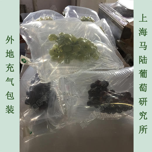 传伦葡萄 6斤礼盒装 马陆精品葡萄 商品图8